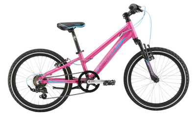 The Benefits of Gift-Giving: Why a Kids Bike is the Perfect Present